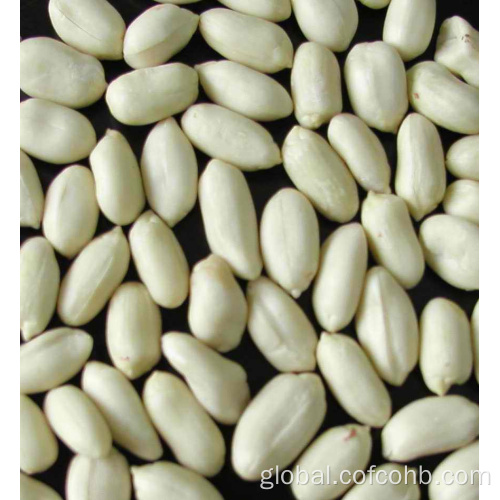 Peanut Kernels Blanched blanched peanuts kernels LUHUA Manufactory